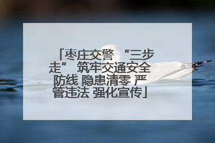 枣庄交警 “三步走” 筑牢交通安全防线 隐患清零 严管违法 强化宣传