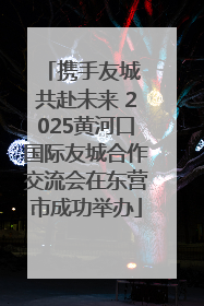 携手友城 共赴未来 2025黄河口国际友城合作交流会在东营市成功举办