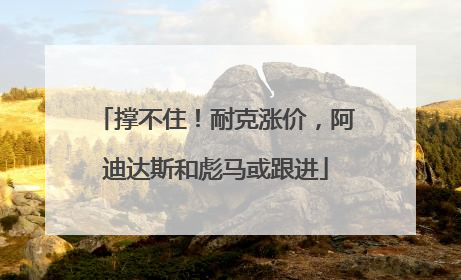 撑不住！耐克涨价，阿迪达斯和彪马或跟进