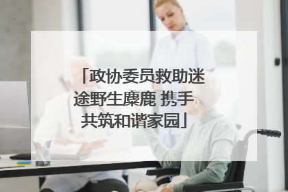 政协委员救助迷途野生麋鹿 携手共筑和谐家园