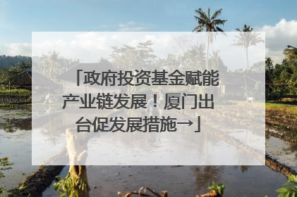 政府投资基金赋能产业链发展！厦门出台促发展措施→