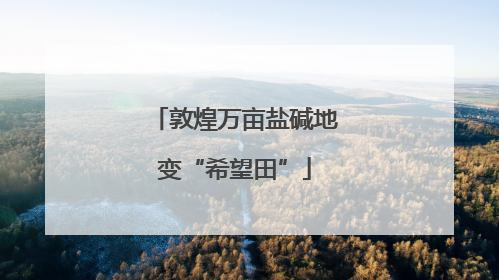 敦煌万亩盐碱地变“希望田”