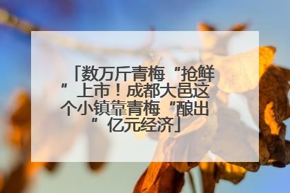 数万斤青梅“抢鲜”上市！成都大邑这个小镇靠青梅“酿出”亿元经济