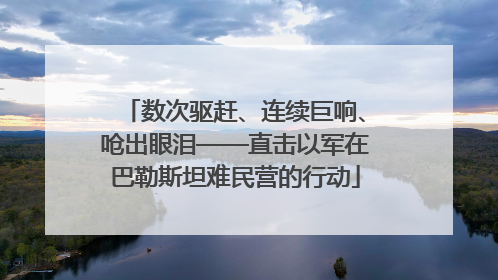 数次驱赶、连续巨响、呛出眼泪——直击以军在巴勒斯坦难民营的行动