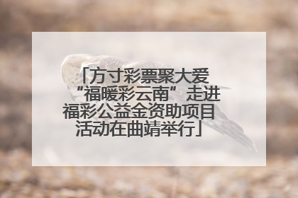 方寸彩票聚大爱 “福暖彩云南”走进福彩公益金资助项目活动在曲靖举行