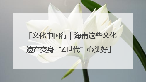 文化中国行｜海南这些文化遗产变身“Z世代”心头好