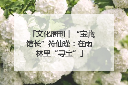文化周刊｜“宝藏馆长”符仙瑾：在雨林里“寻宝”
