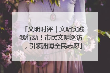 文明时评｜文明实践我行动！市民文明巡访，引领淄博全民志愿