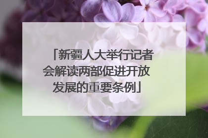新疆人大举行记者会解读两部促进开放发展的重要条例