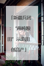 新疆兵团：“两吨粮田”示范田创高产