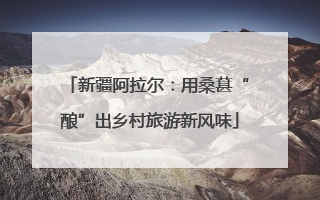 新疆阿拉尔：用桑葚“酿”出乡村旅游新风味