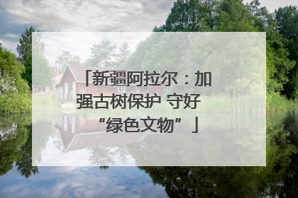 新疆阿拉尔:加强古树保护 守好“绿色文物”