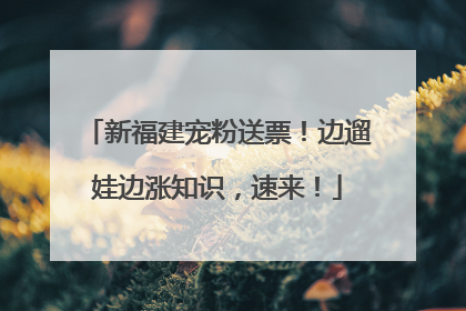 新福建宠粉送票！边遛娃边涨知识，速来！