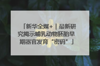 新华全媒+｜最新研究揭示哺乳动物胚胎早期器官发育“密码”