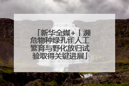 新华全媒+丨濒危物种绿孔雀人工繁育与野化放归试验取得关键进展