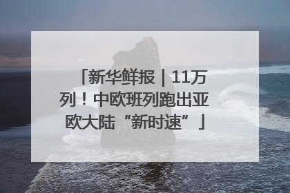 新华鲜报｜11万列！中欧班列跑出亚欧大陆“新时速”