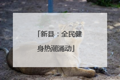 新县：全民健身热潮涌动