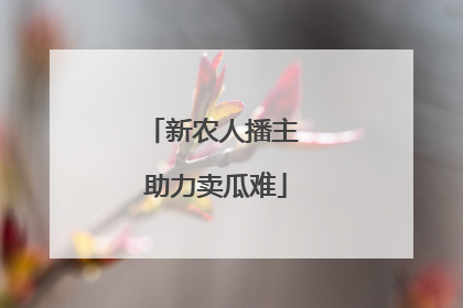新农人播主 助力卖瓜难