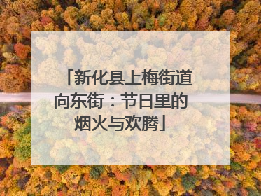 新化县上梅街道向东街：节日里的烟火与欢腾