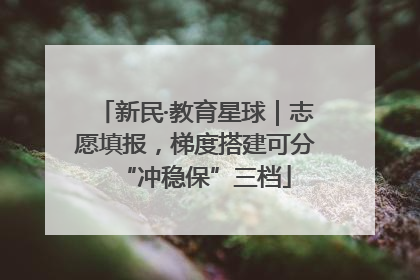 新民·教育星球｜志愿填报，梯度搭建可分“冲稳保”三档