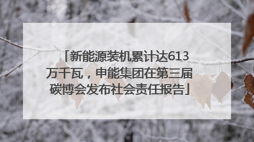 新能源装机累计达613万千瓦，申能集团在第三届碳博会发布社会责任报告