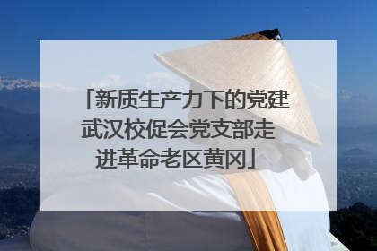 新质生产力下的党建 武汉校促会党支部走进革命老区黄冈