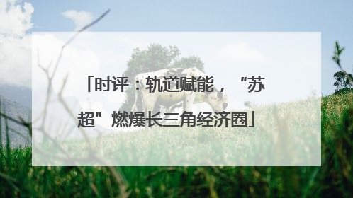 时评：轨道赋能，“苏超”燃爆长三角经济圈