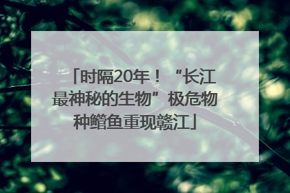 时隔20年！“长江最神秘的生物”极危物种鳤鱼重现赣江
