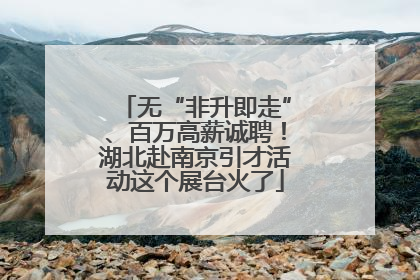 无“非升即走”、百万高薪诚聘！湖北赴南京引才活动这个展台火了