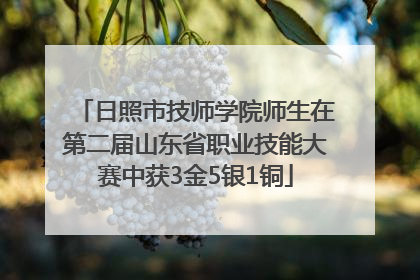 日照市技师学院师生在第二届山东省职业技能大赛中获3金5银1铜