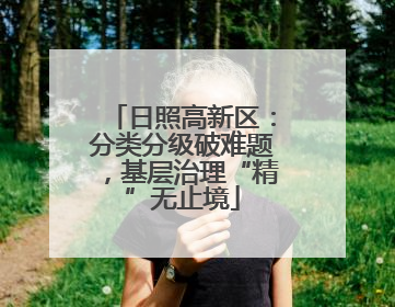 日照高新区：分类分级破难题，基层治理“精”无止境