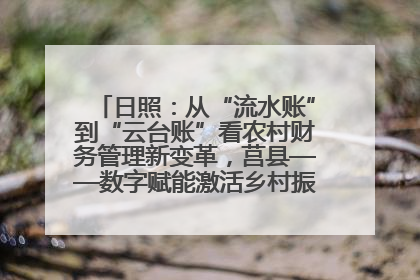 日照：从“流水账”到“云台账”看农村财务管理新变革，莒县——数字赋能激活乡村振兴“一池春水”