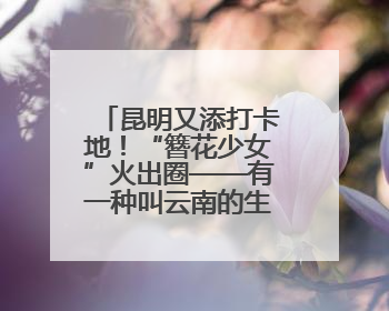 昆明又添打卡地！“簪花少女”火出圈——有一种叫云南的生活之365天