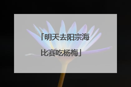 明天去阳宗海比赛吃杨梅