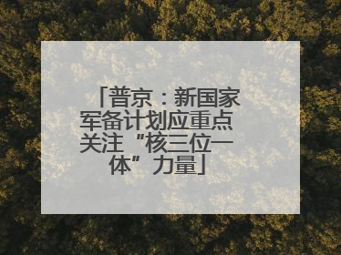 普京：新国家军备计划应重点关注“核三位一体”力量