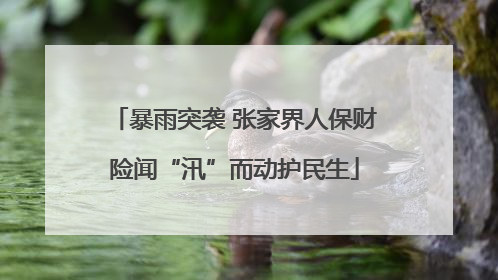 暴雨突袭 张家界人保财险闻“汛”而动护民生