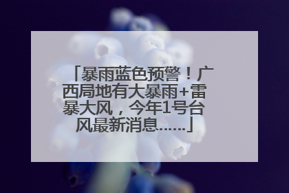 暴雨蓝色预警！广西局地有大暴雨+雷暴大风，今年1号台风最新消息……