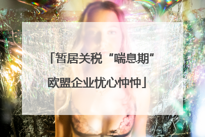 暂居关税“喘息期” 欧盟企业忧心忡忡