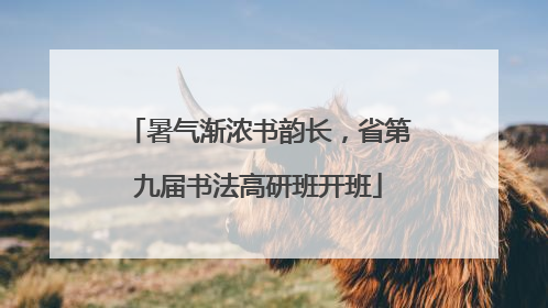 暑气渐浓书韵长，省第九届书法高研班开班