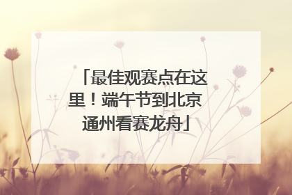 最佳观赛点在这里！端午节到北京通州看赛龙舟