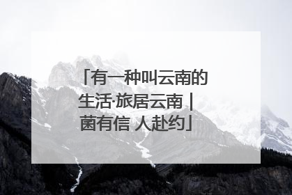 有一种叫云南的生活·旅居云南｜菌有信 人赴约