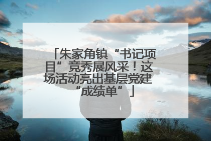 朱家角镇“书记项目”竞秀展风采！这场活动亮出基层党建“成绩单”