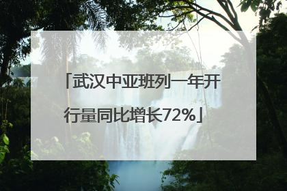 武汉中亚班列一年开行量同比增长72%