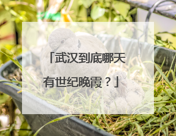 武汉到底哪天有世纪晚霞？
