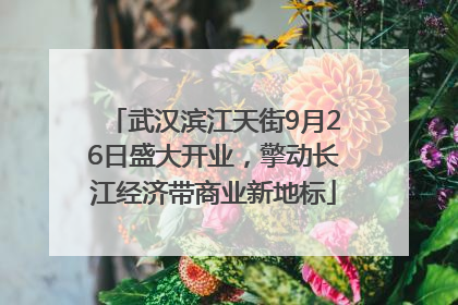 武汉滨江天街9月26日盛大开业，擎动长江经济带商业新地标