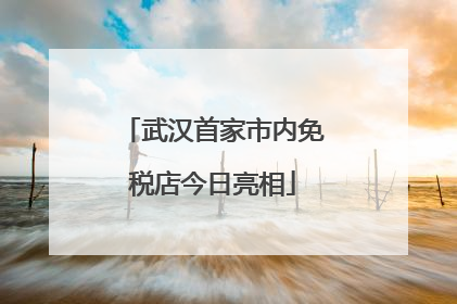 武汉首家市内免税店今日亮相