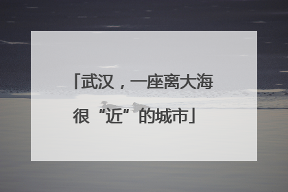 武汉，一座离大海很“近”的城市