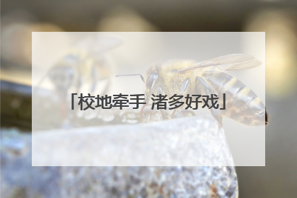 校地牵手 渚多好戏