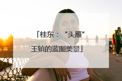 桂东：“头雁”王镇的蓝图美景