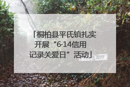 桐柏县平氏镇扎实开展“6·14信用记录关爱日”活动
